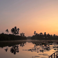 More Than a Sunrise Cruise in Kumarakom: A Journey into a Life, a Village, a Memory